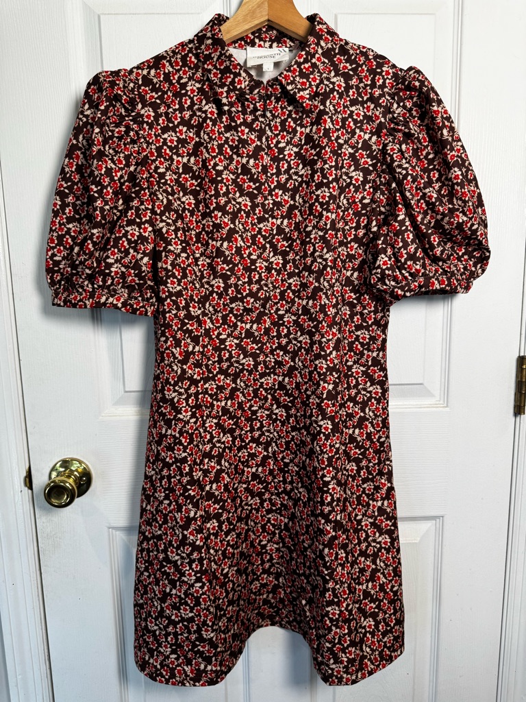 Hyacinth House Tuckernuck Floral Puff Sleeve Mini Dress Brown Red Collared Large